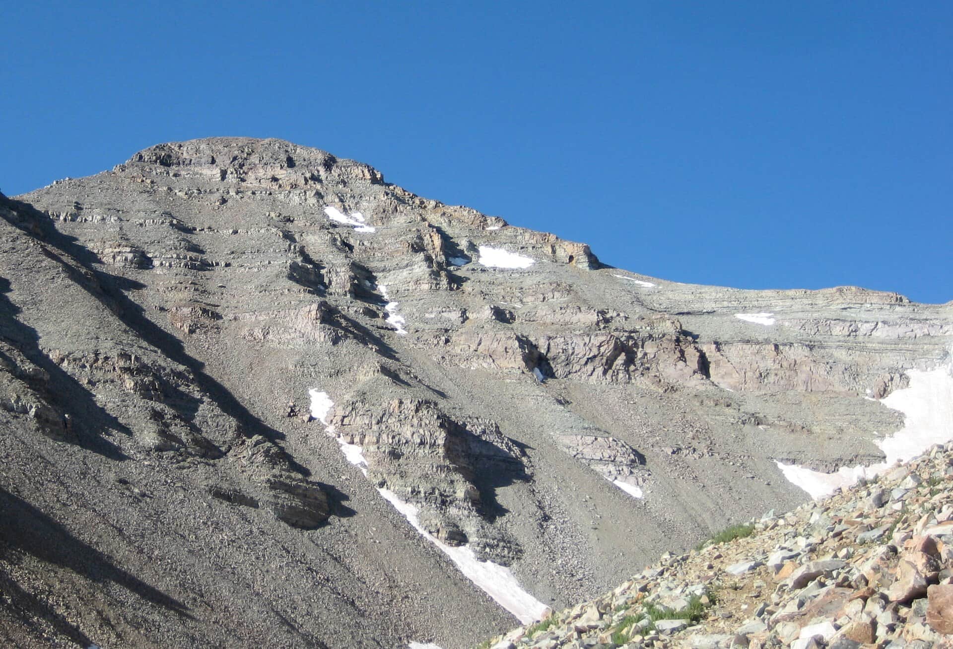 Castle Peak: A Complete Guide to Hiking Colorado's Highest Elk Mountain 14er