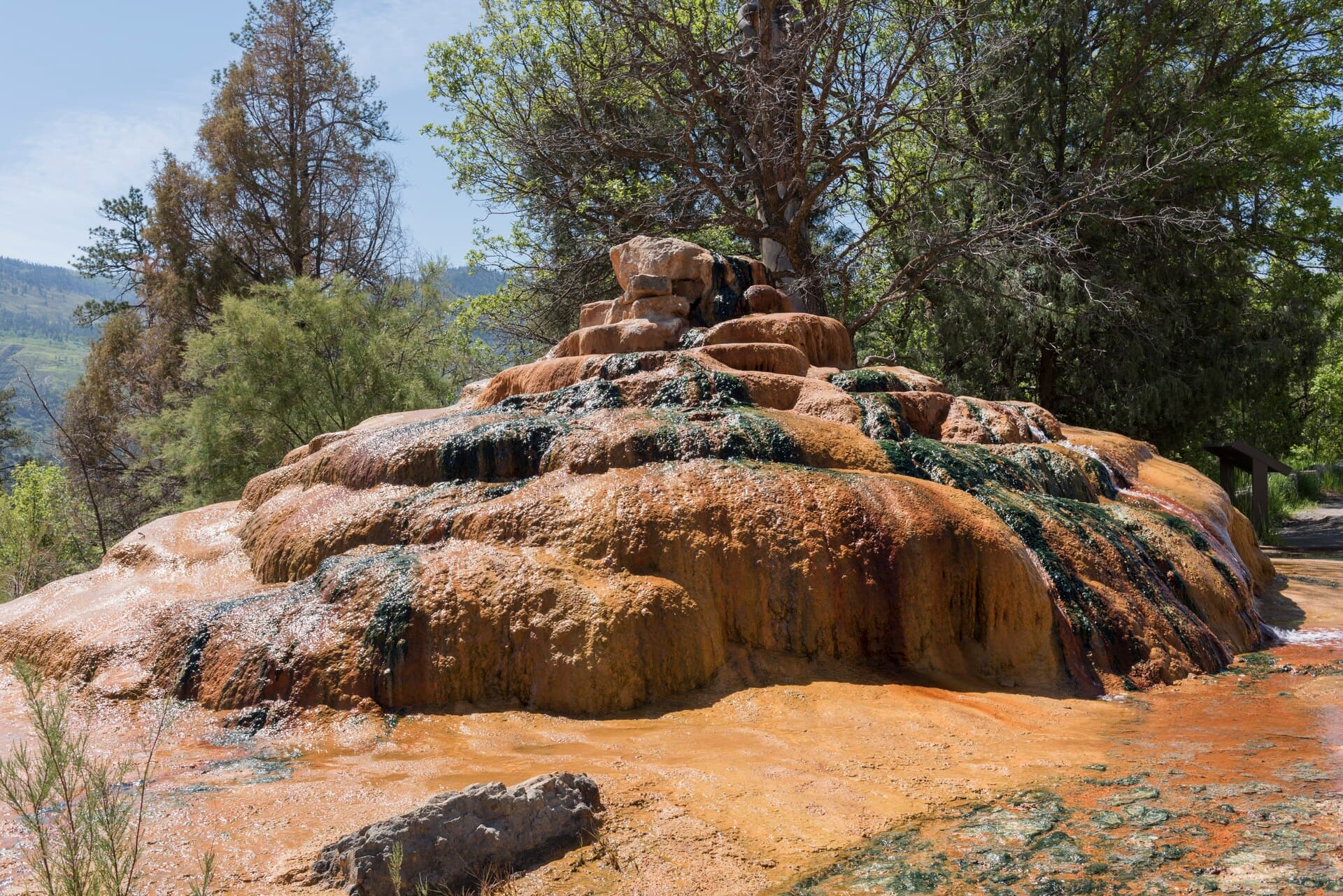 Hot Springs in Durango, CO: Where to Soak Near Town