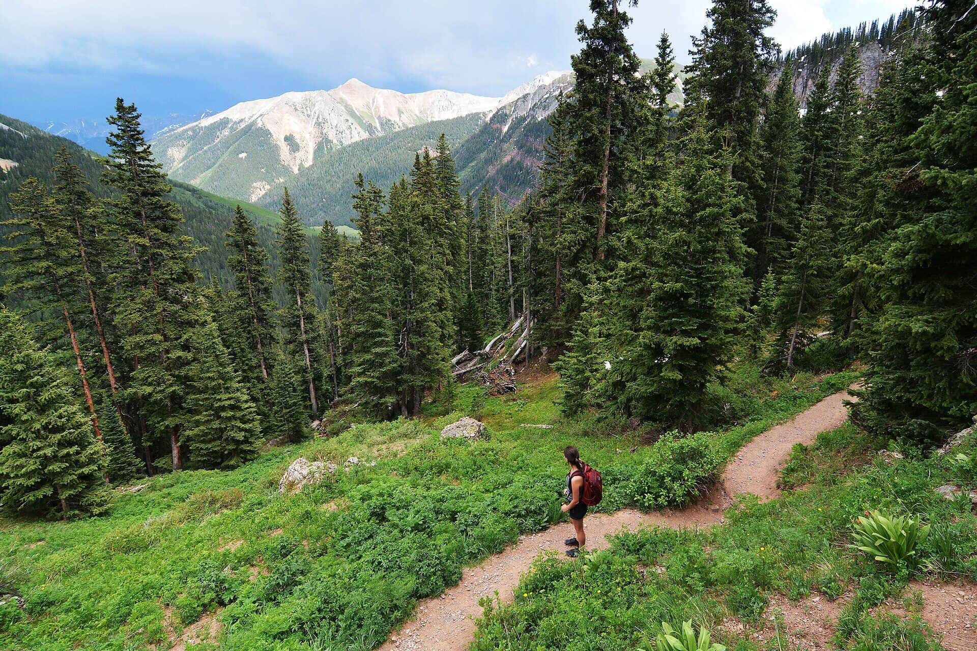 South Mineral Campground: The Ice Lake Basin Basecamp Near Silverton