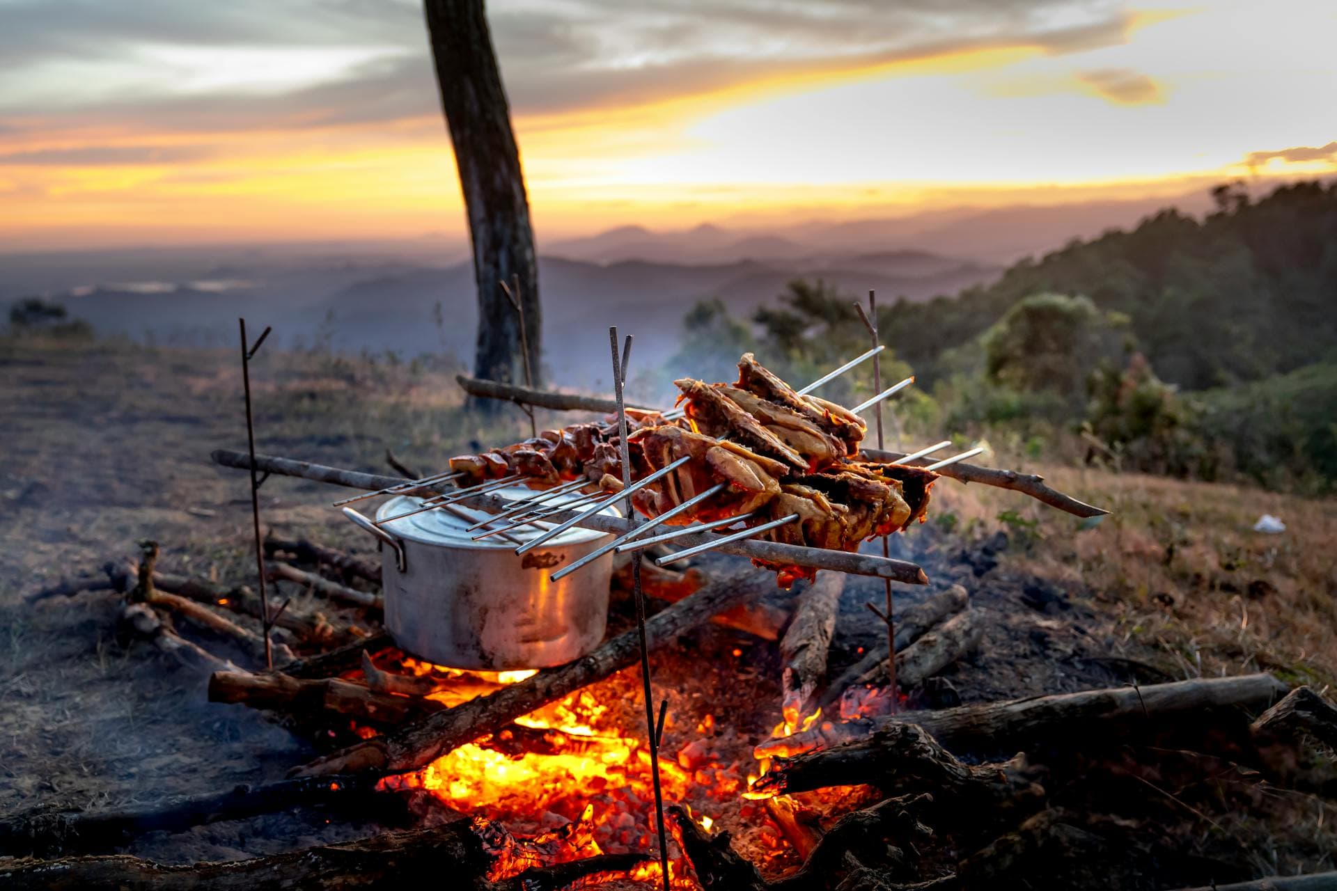 The Ultimate Guide to Camping Recipes: 2026 Edition