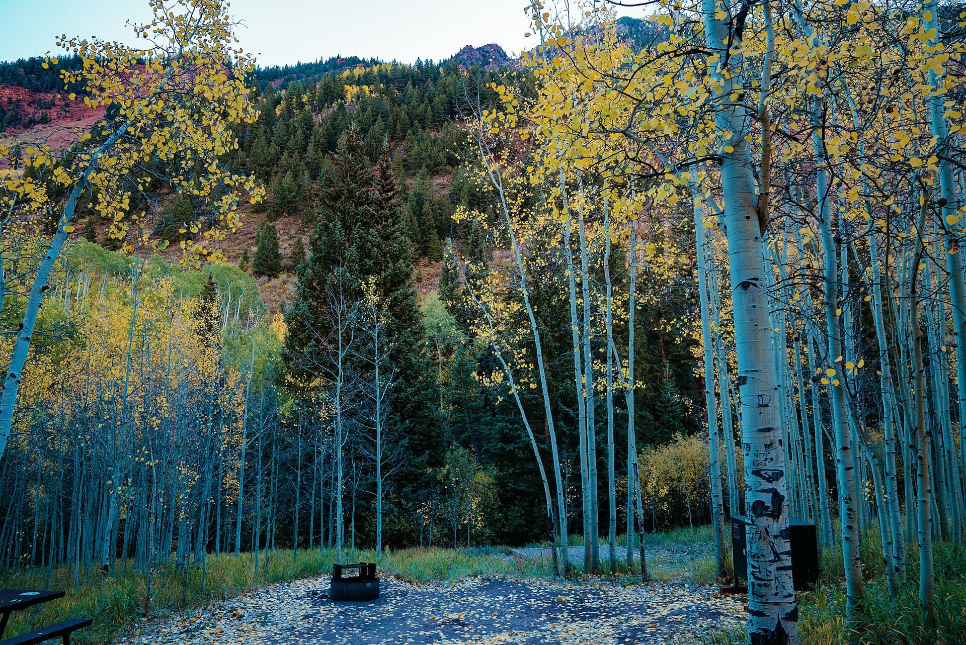 Colorado 14ers by Difficulty: All 58 Ranked from Easiest to Hardest