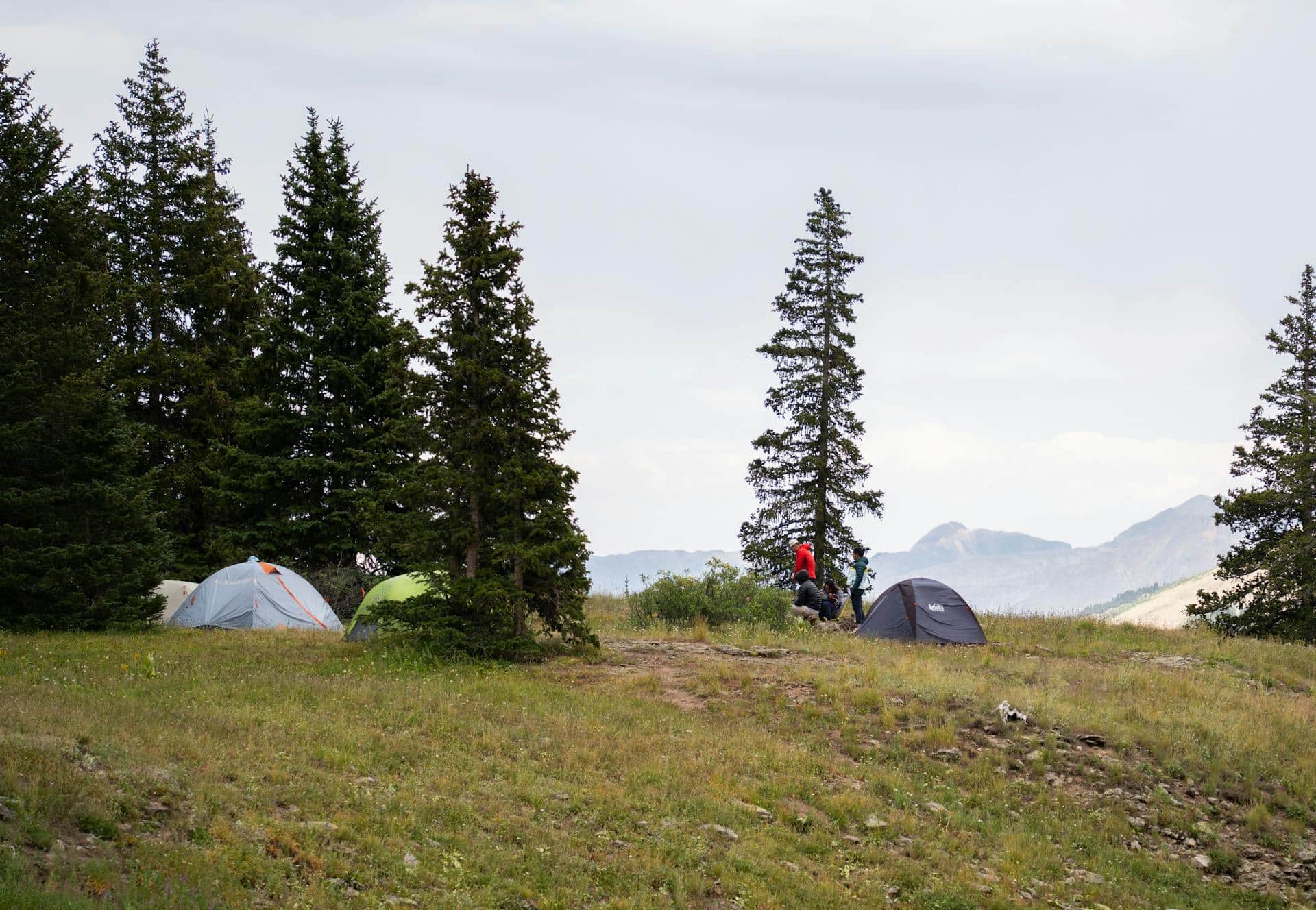 Best Colorado Campgrounds: 12 Picks for 2026 (RMNP to Great Sand Dunes)