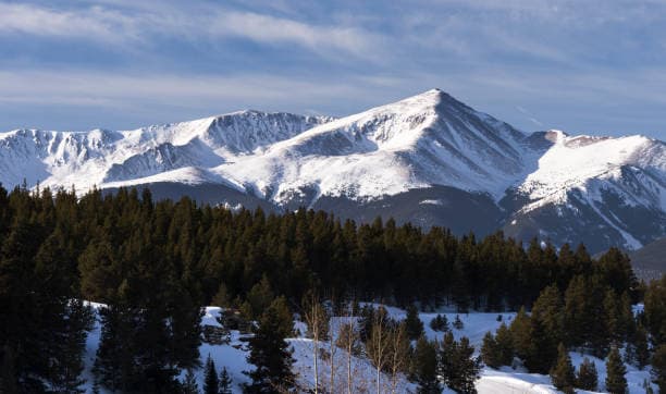 Mount Elbert 2026: Colorado's Tallest Peak Hiking Guide
