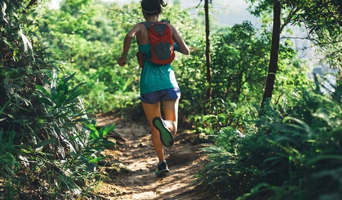 Out and Back Trails: What They Are and Why Hikers Love Them