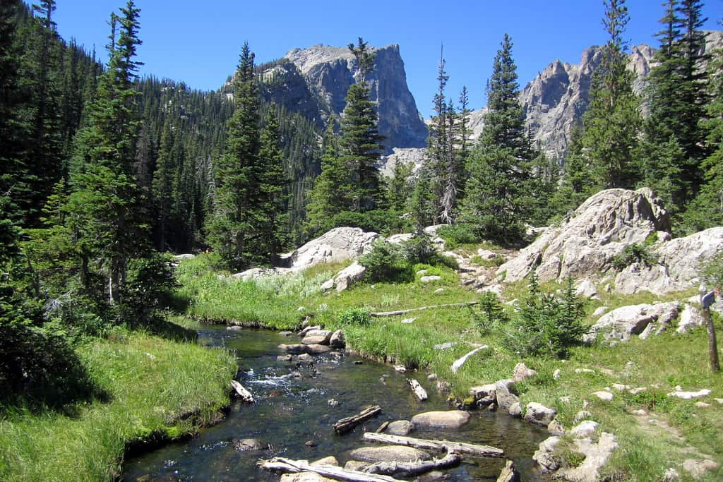 Hanging Lake travertine pool with deadfall logs in Glenwood Canyon