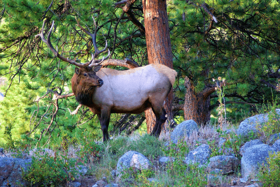 Top 10 Outdoor Adventures in Colorado 2026