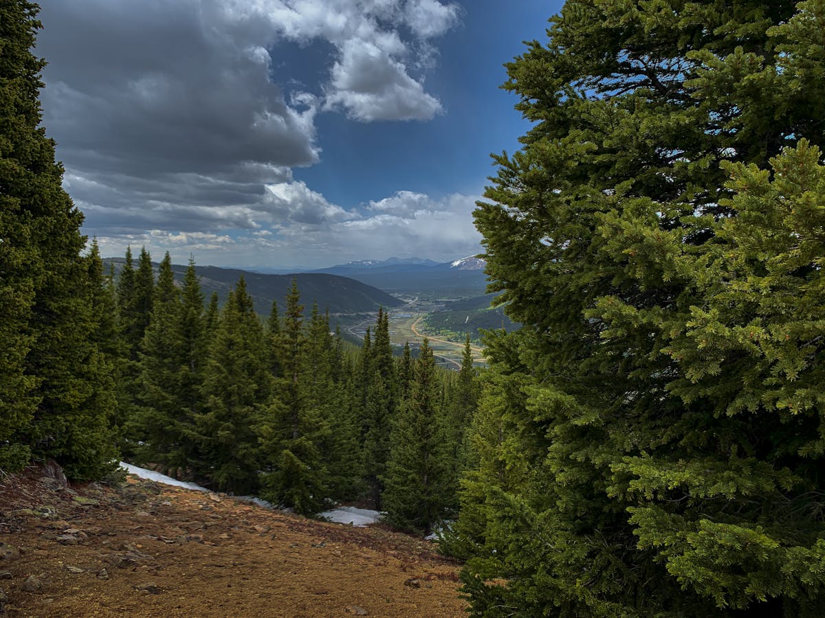 Colorado mountain forest vista with distant peaks
