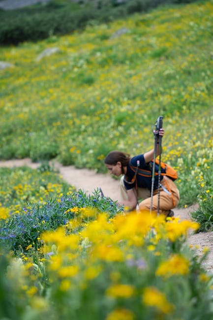 A hiker on a scenic trail surrounded by wildflowers and mountain views