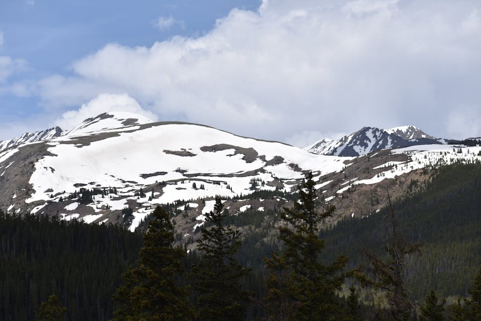 Snow-capped peaks and conifer forests in Colorado's Rocky Mountains